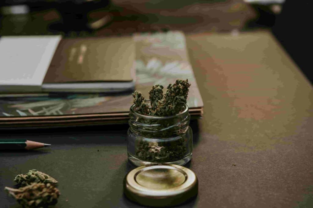 cannabis social clubs